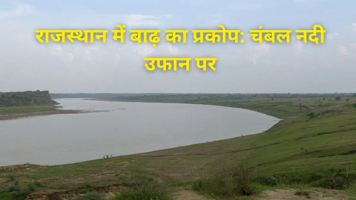 चंबल नदी उफान पर