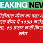 किरोड़ीलाल मीणा का बड़ा आरोप